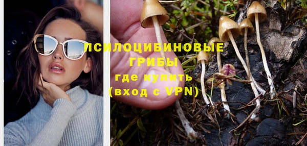 мескалин Весьегонск
